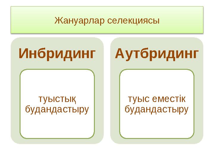 Жануарлар селекциясы Инбридинг туыстық будандастыру Аутбридинг туыс еместік будандастыру