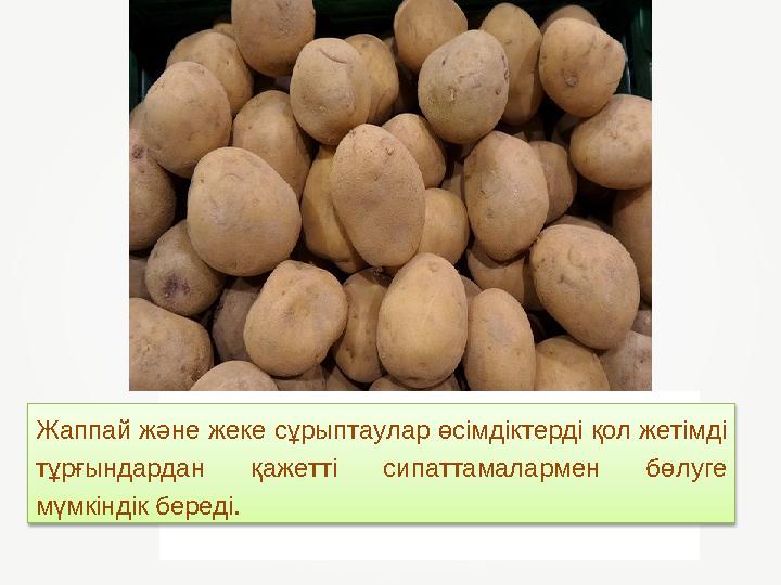 Жаппай және жеке сұрыптаулар өсімдіктерді қол жетімді тұрғындардан қажетті сипаттамалармен бөлуге мүмкіндік береді.