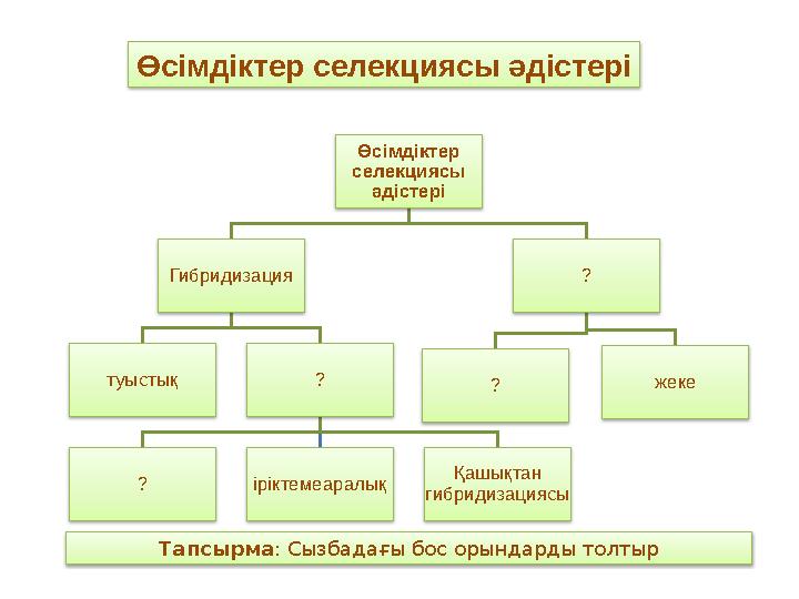 Өсімдіктер селекциясы әдістері Гибридизация туыстық ? ? іріктемеаралық Қашықтан гибридизациясы ? ? жеке Өсімдіктер