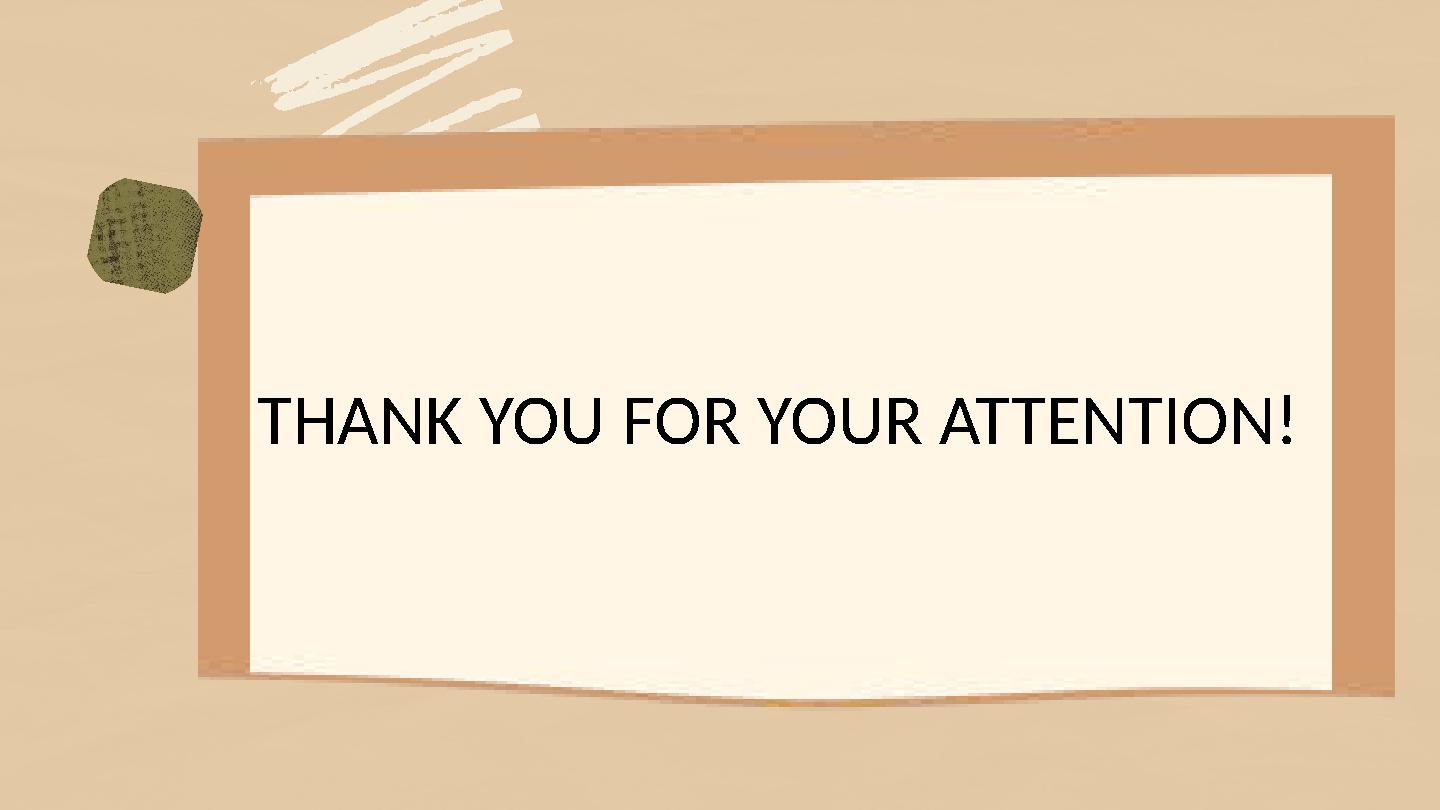 THANK YOU FOR YOUR ATTENTION!