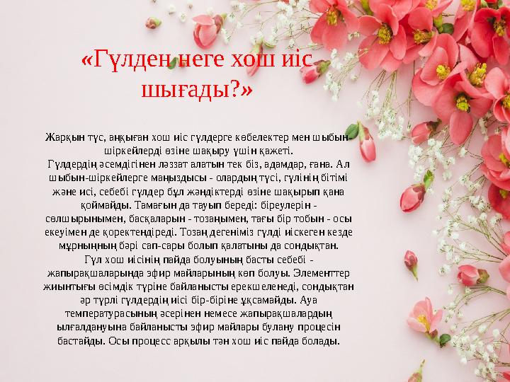 Жарқын түс, аңқыған хош иіс гүлдерге көбелектер мен шыбын Жарқын түс, аңқыған хош иіс гүлдерге көбелектер мен шыбын