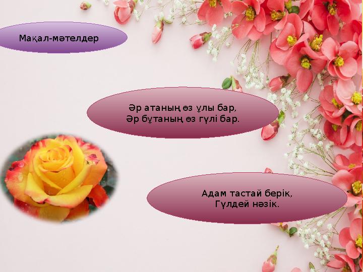 Мақал-мәтелдер Әр атаның өз ұлы бар, Әр бұтаның өз гүлі б Мақал-мәтелдер Әр атаның өз ұлы бар, Әр бұтаның өз гүлі б