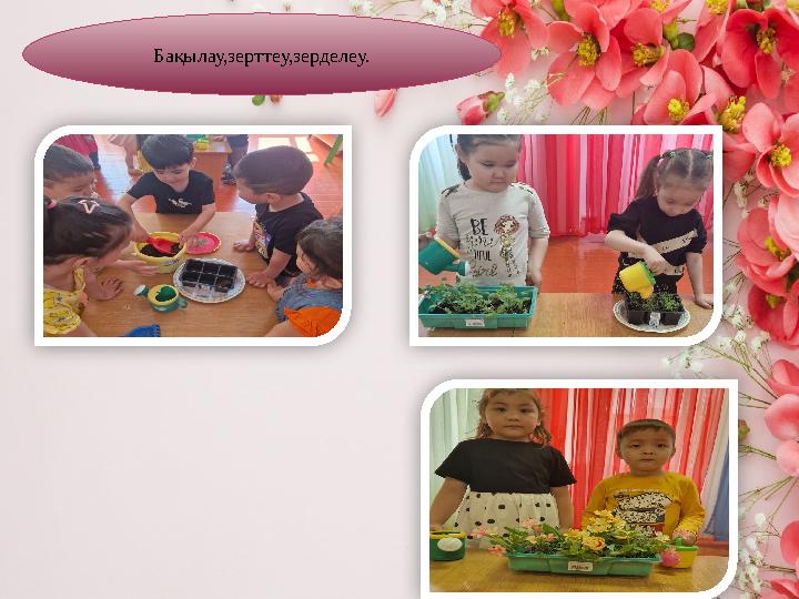 Бақылау,зерттеу,зерделеу. Бақылау,зерттеу,зерделеу.