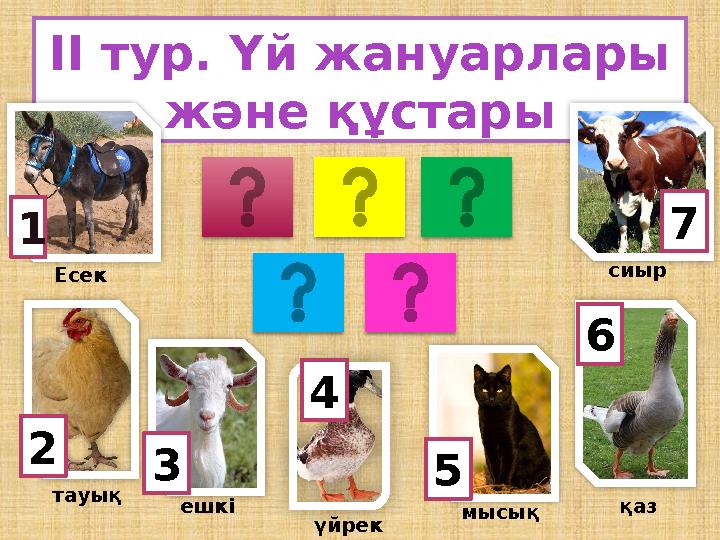 II ТУР ІІ тур. Үй жануарлары және құстары 1 Есек 2 тауық 3 ешкі 5 үйрек 6 мысық қаз 7 сиыр 4