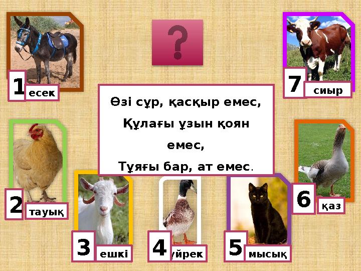 1есек тауық 3ешкі 5үйрек 6 мысық4 қаз 7сиыр Өзі сұр, қасқыр емес, Құлағы ұзын қоян емес, Тұяғы бар, ат емес. 2