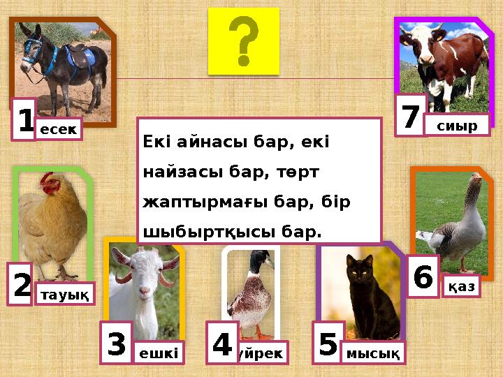 1есек тауық 3ешкі 5үйрек 6 мысық4 қаз 7сиыр Екі айнасы бар, екі найзасы бар, төрт жаптырмағы бар, бір шыбыртқысы бар.