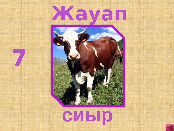 7 сиыр Жауап
