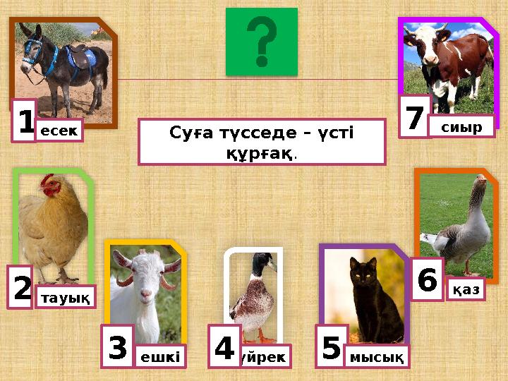 1есек тауық 3ешкі 5үйрек 6 мысық4 қаз 7сиыр Суға түсседе – үсті құрғақ. 2