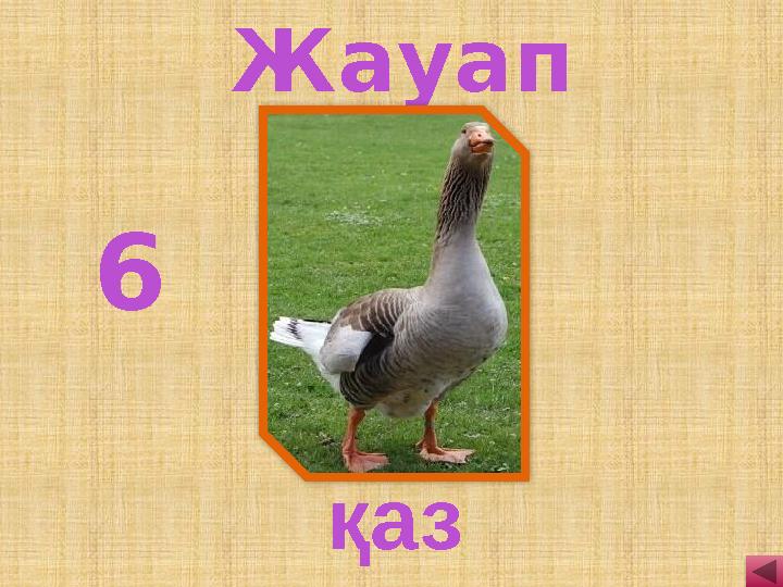 6 қаз Жауап
