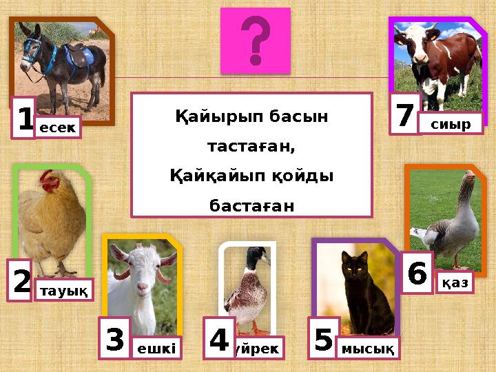 1есек тауық 3ешкі 5үйрек 6 мысық4 қаз 7сиыр Қайырып басын тастаған, Қайқайып қойды бастаған 2
