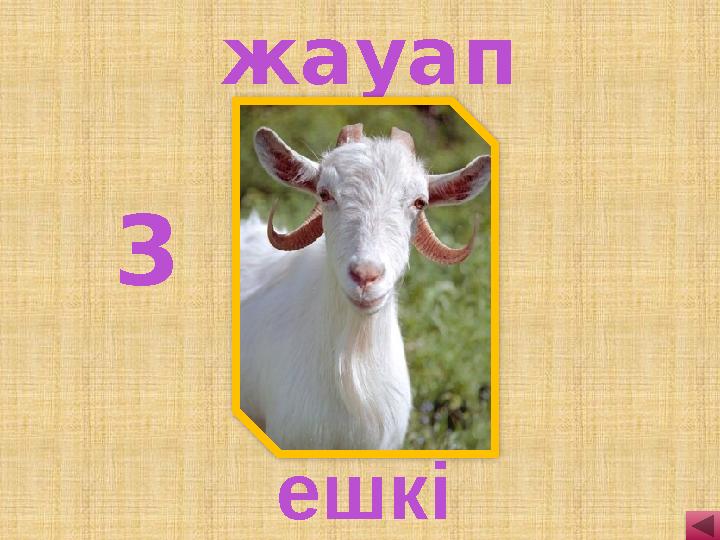 3 ешкі жауап