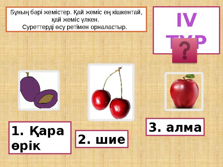 Бұның бәрі жемістер. Қай жеміс ең кішкентай, қай жеміс үлкен. Суреттерді өсу ретімен орналастыр. 1.Қара өрік 2. шие 3. алм