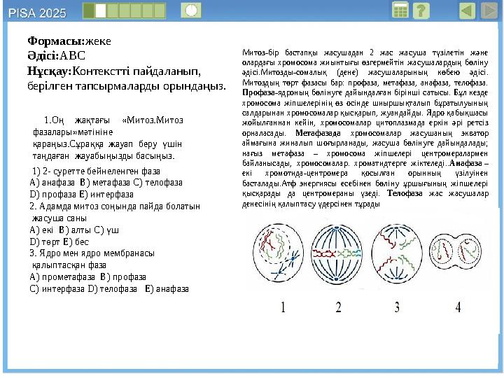 1.Оң жақтағы «Митоз.Митоз фазалары»мәтініне қараңыз.Сұраққа жауап беру үшін таңдаған жауабыңызды басыңыз. 1) 2- суретте бе 1.Оң жақтағы «Митоз.Митоз фазалары»мәтініне қараңыз.Сұраққа жауап беру үшін таңдаған жауабыңызды басыңыз. 1) 2- суретте бе