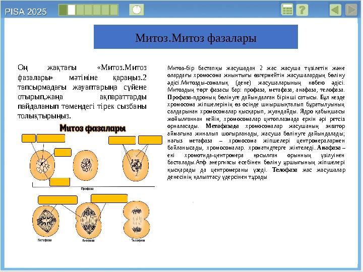 Митоз.Митоз фазалары Оң жақтағы «Митоз.Митоз фазалары» мәтініне қараңыз.2 тапсырмадағы жауаптарыңа сүйене отырып,жаңа ақпарат Митоз.Митоз фазалары Оң жақтағы «Митоз.Митоз фазалары» мәтініне қараңыз.2 тапсырмадағы жауаптарыңа сүйене отырып,жаңа ақпарат