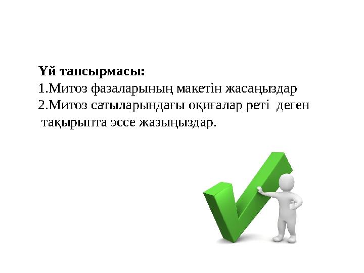 Үй тапсырмасы: 1.Митоз фазаларының макетін жасаңыздар 2.Митоз сатыларындағы оқиғалар реті деген тақырыпта эссе жазыңыздар. Үй тапсырмасы: 1.Митоз фазаларының макетін жасаңыздар 2.Митоз сатыларындағы оқиғалар реті деген тақырыпта эссе жазыңыздар.