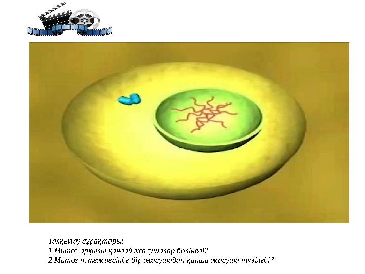 Талқылау сұрақтары: 1.Митоз арқылы қандай жасушалар бөлінеді? 2.Митоз нәтежиесінде бір жасушадан қанша жасуша түзіледі? Талқылау сұрақтары: 1.Митоз арқылы қандай жасушалар бөлінеді? 2.Митоз нәтежиесінде бір жасушадан қанша жасуша түзіледі?