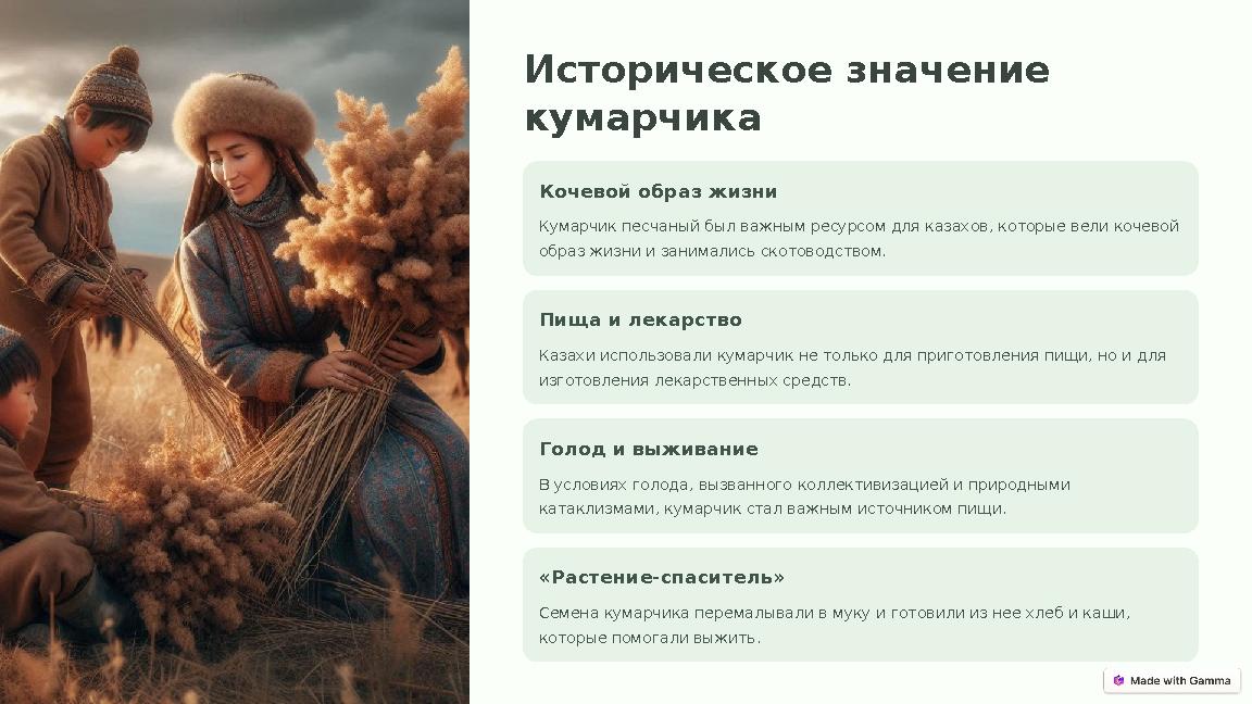 Историческое значение кумарчика Кочевой образ жизни Кумарчик песчаный был важным ресурсом для казахов, которые вели кочевой об