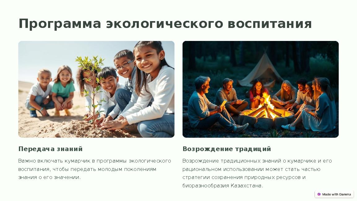 Программа экологического воспитания Передача знаний Важно включать кумарчик в программы экологического воспитания, чтобы переда