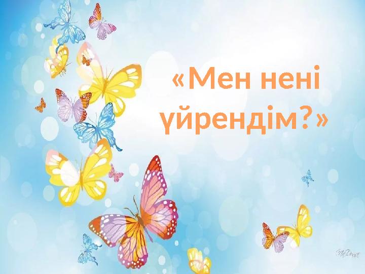 «Мен нені үйрендім?»