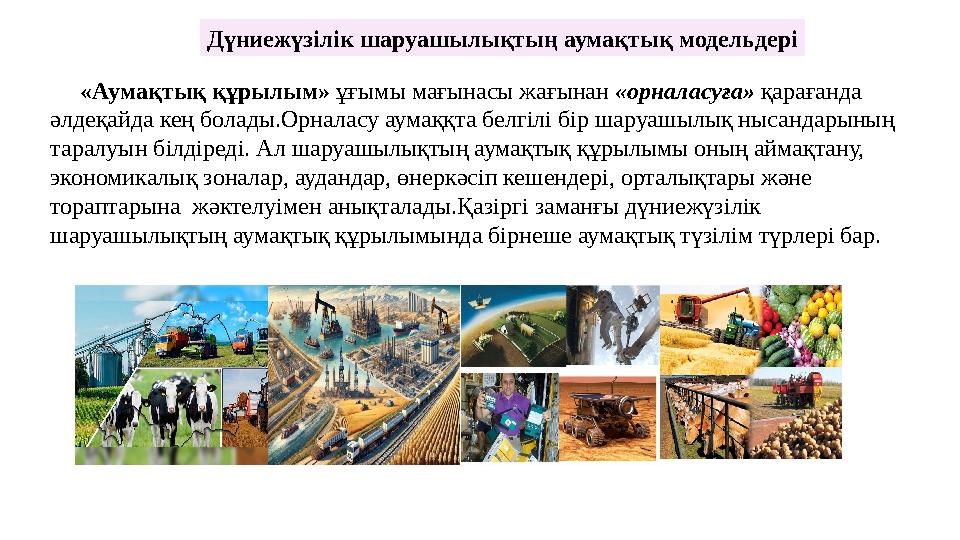 Транссексуалдық порно онлайн көру