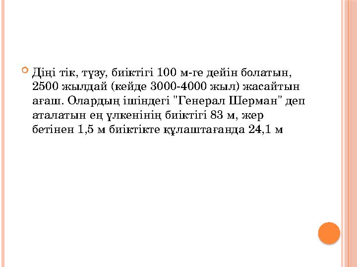 Діңі тік, түзу, биіктігі 100 м-ге дейін болатын, 2500 жылдай (кейде 3000-4000 жыл) жасайтын ағаш. Олардың ішіндегі "Генер