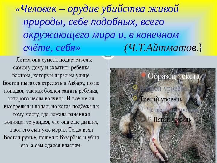«Человек – орудие убийства живой природы, себе подобных, всего окружающего мира и, в конечном счёте, себя» (Ч.