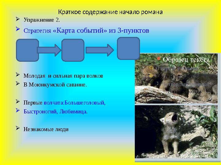 Краткое содержание начало романа Упражнение 2. Стратегия «Карта событий» из 3-пунктов Молодая и сильная пара волков В Моюн