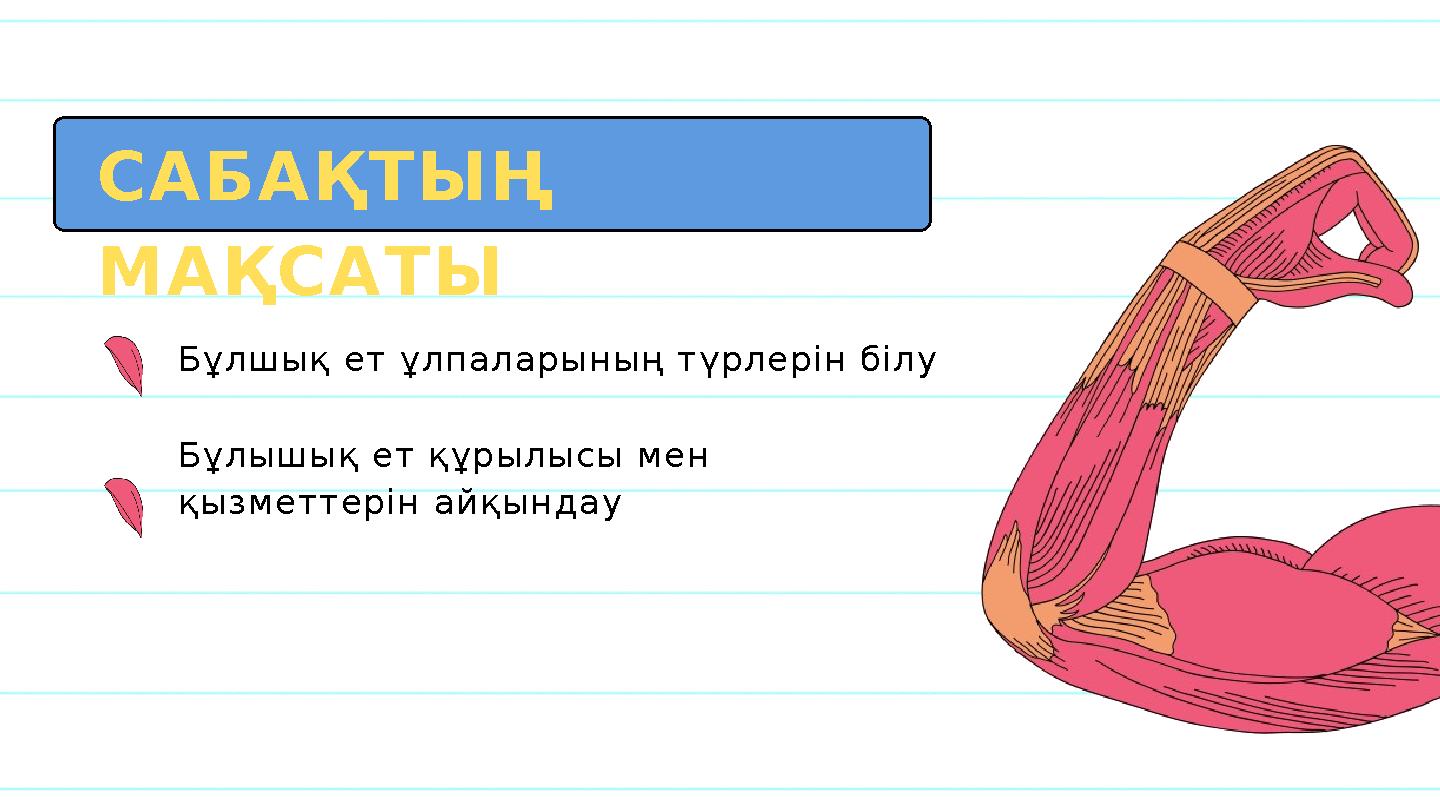 САБАҚТЫҢ МАҚСАТЫ Бұлшық ет ұлпаларының түрлерін білу Бұлышық ет құрылысы мен қызметтерін айқындау