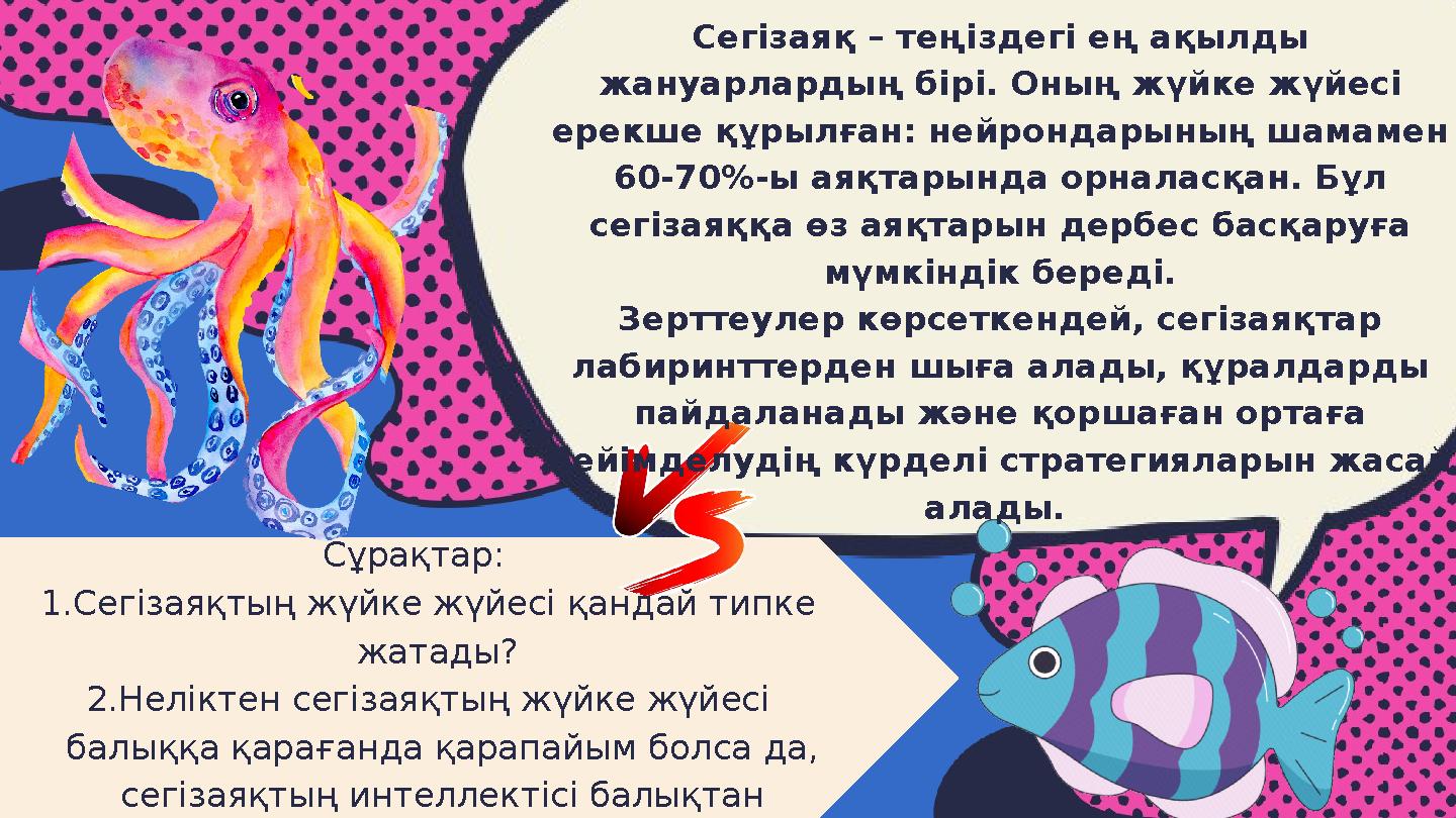 Сегізаяқ – теңіздегі ең ақылды жануарлардың бірі. Оның жүйке жүйесі ерекше құрылған: нейрондарының шамамен 60-70%-ы аяқтарынд