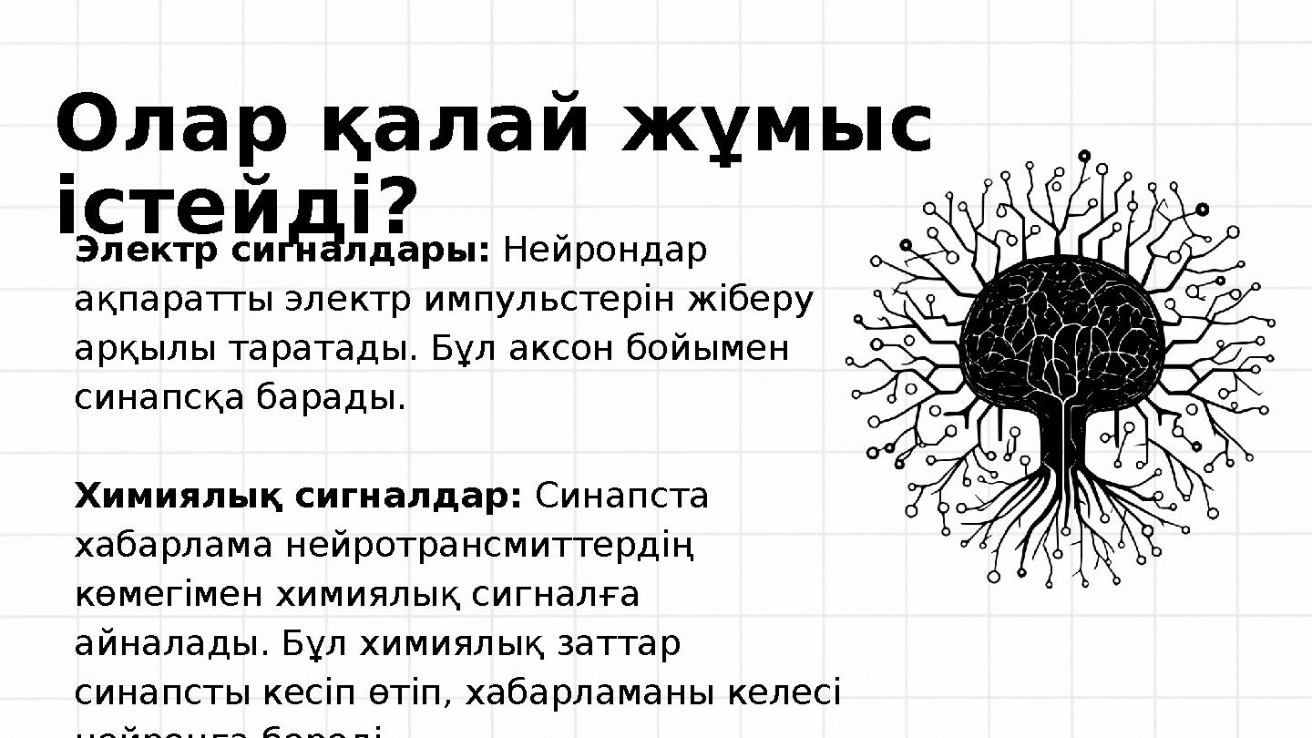 Электр сигналдары: Нейрондар ақпаратты электр импульстерін жіберу арқылы таратады. Бұл аксон бойымен синапсқа барады. Химиялы