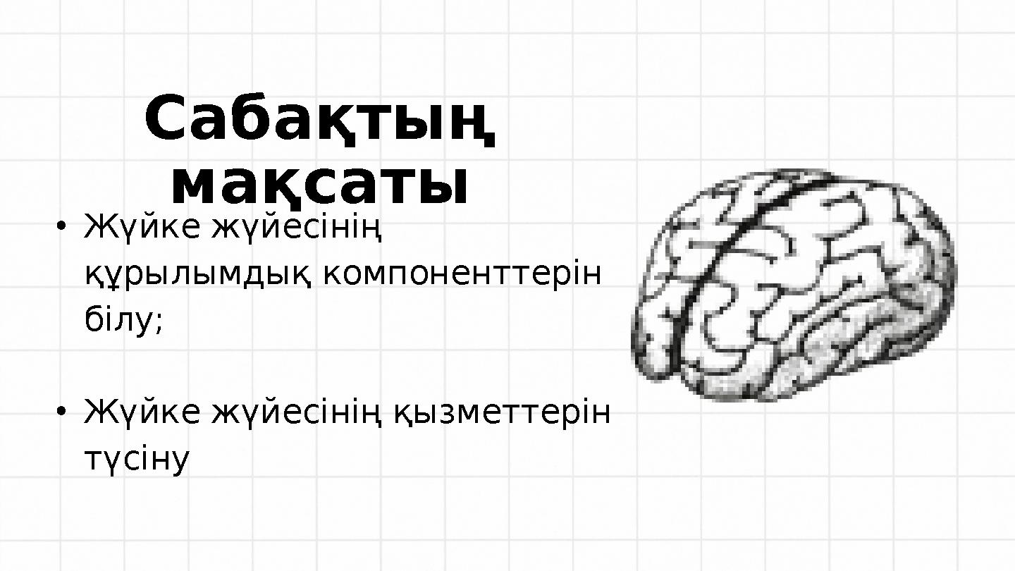 Сабақтың мақсаты •Жүйке жүйесінің құрылымдық компоненттерін білу; •Жүйке жүйесінің қызметтерін түсіну