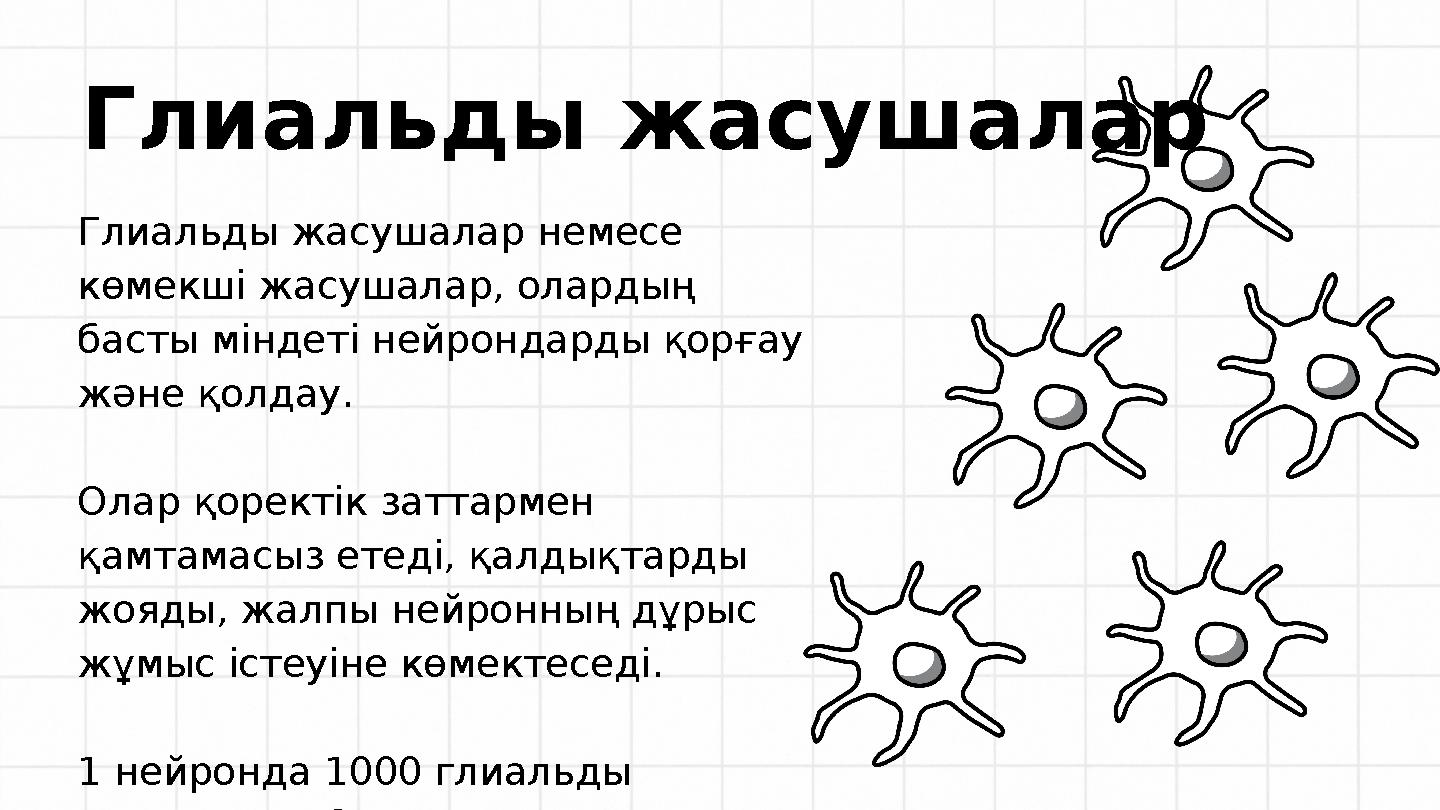 Глиальды жасушалар немесе көмекші жасушалар, олардың басты міндеті нейрондарды қорғау және қолдау. Олар қоректік заттармен