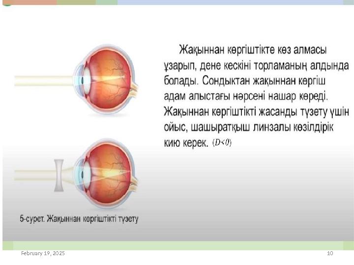 February 19, 2025 10