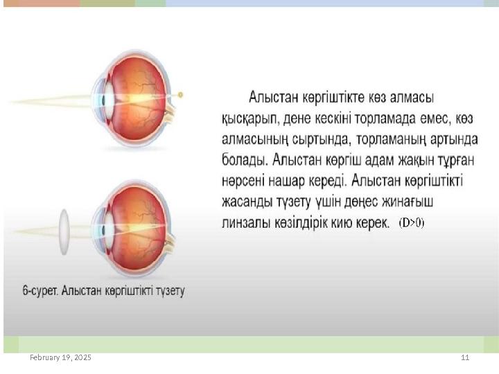 February 19, 2025 11