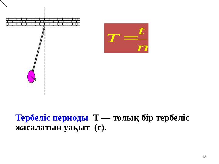 12 Тербеліс периоды Т — толық бір тербеліс жасалатын уақыт (с). n t Т