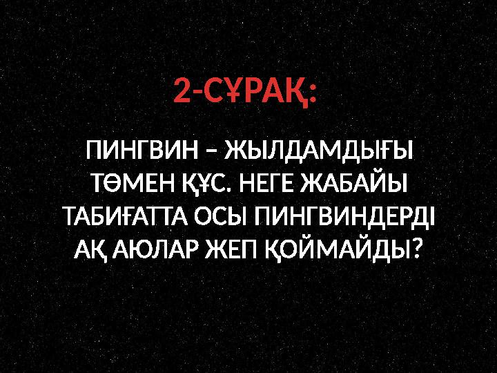 2-СҰРАҚ: ПИНГВИН – ЖЫЛДАМДЫҒЫ ТӨМЕН ҚҰС. НЕГЕ ЖАБАЙЫ ТАБИҒАТТА ОСЫ ПИНГВИНДЕРДІ АҚ АЮЛАР ЖЕП ҚОЙМАЙДЫ?