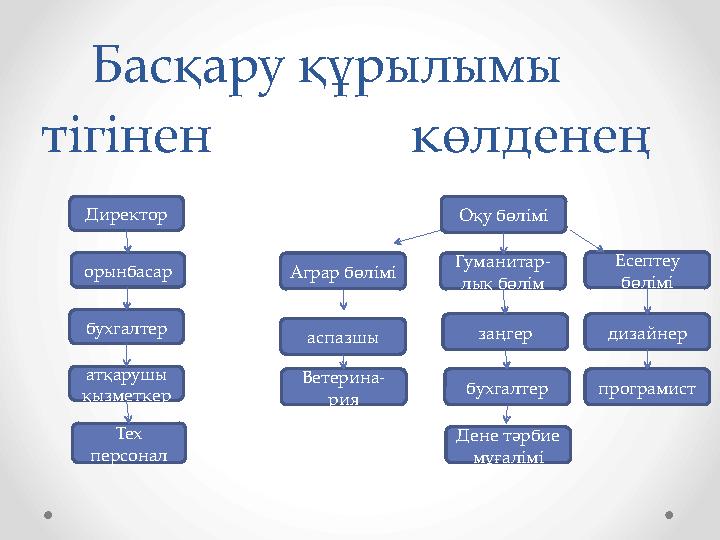 Директор орынбасар бухгалтер атқарушы қызметкер Тех персонал Басқару құрылымы тігінен көлденең Оқу бөлімі Гуманитар- лық бөлі