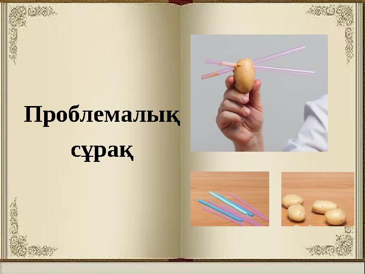 Проблемалық сұрақ