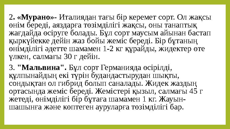 2. «Мурано»- Италиядан тағы бір керемет сорт. Ол жақсы өнім береді, аяздарға төзімділігі жақсы, оны танаптық жағдайда өсіруге