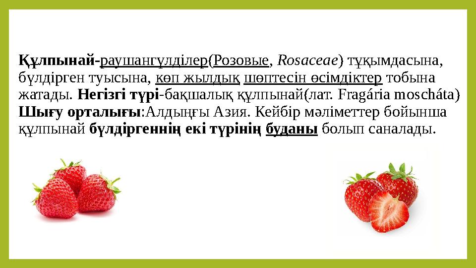 Құлпынай-раушангүлділер(Розовые, Rosaceae) тұқымдасына, бүлдірген туысына, көп жылдық шөптесін өсімдіктер тобына жатады. Негіз