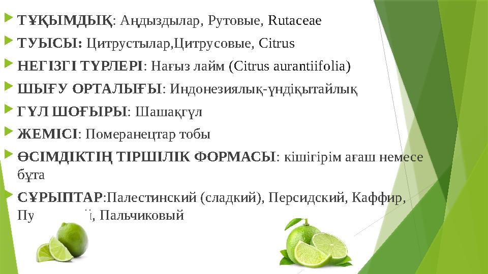 ТҰҚЫМДЫҚ : Аңдыздылар, Рутовые, Rutaceae ТУЫСЫ: Цитрустылар,Цитрусовые, Citrus НЕГІЗГІ ТҮРЛЕРІ: Нағыз лайм (C ТҰҚЫМДЫҚ : Аңдыздылар, Рутовые, Rutaceae ТУЫСЫ: Цитрустылар,Цитрусовые, Citrus НЕГІЗГІ ТҮРЛЕРІ: Нағыз лайм (C