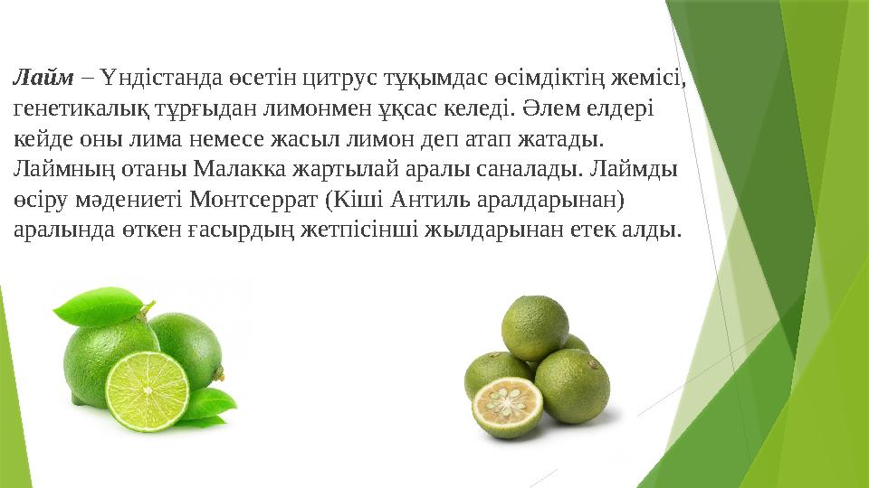 Лайм – Үндістанда өсетін цитрус тұқымдас өсімдіктің жемісі, генетикалық тұрғыдан лимонмен ұқсас келеді. Әлем ел Лайм – Үндістанда өсетін цитрус тұқымдас өсімдіктің жемісі, генетикалық тұрғыдан лимонмен ұқсас келеді. Әлем ел