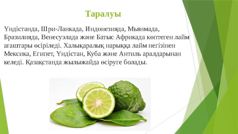 Таралуы Үндістанда, Шри-Ланкада, Индонезияда, Мьянмада, Бразилияда, Венесуэлада және Батыс Африкада көптеген ла Таралуы Үндістанда, Шри-Ланкада, Индонезияда, Мьянмада, Бразилияда, Венесуэлада және Батыс Африкада көптеген ла