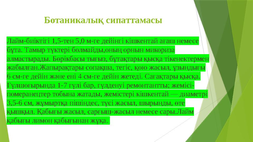 Ботаникалық сипаттамасы Лайм-биіктігі 1,5-тен 5,0 м-ге дейінгі кішкентай ағаш немесе бұта. Тамыр түктері болмай Ботаникалық сипаттамасы Лайм-биіктігі 1,5-тен 5,0 м-ге дейінгі кішкентай ағаш немесе бұта. Тамыр түктері болмай