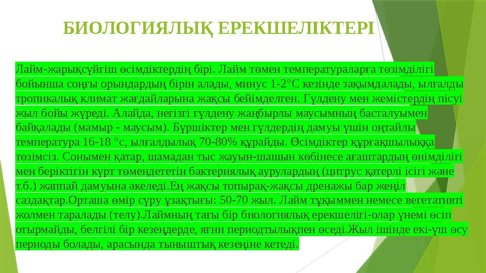 БИОЛОГИЯЛЫҚ ЕРЕКШЕЛІКТЕРІ Лайм-жарықсүйгіш өсімдіктердің бірі. Лайм төмен температураларға төзімділігі бойынша БИОЛОГИЯЛЫҚ ЕРЕКШЕЛІКТЕРІ Лайм-жарықсүйгіш өсімдіктердің бірі. Лайм төмен температураларға төзімділігі бойынша
