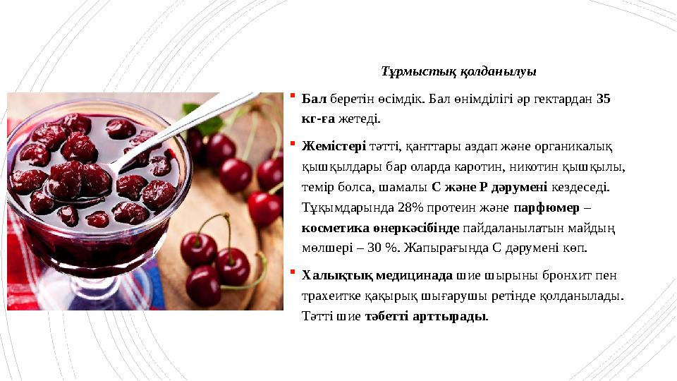Тұрмыстық қолданылуы Бал беретін өсімдік. Бал өнімділігі әр гектардан 35 кг-ға жетеді. Жемістері тәтті, Тұрмыстық қолданылуы Бал беретін өсімдік. Бал өнімділігі әр гектардан 35 кг-ға жетеді. Жемістері тәтті,