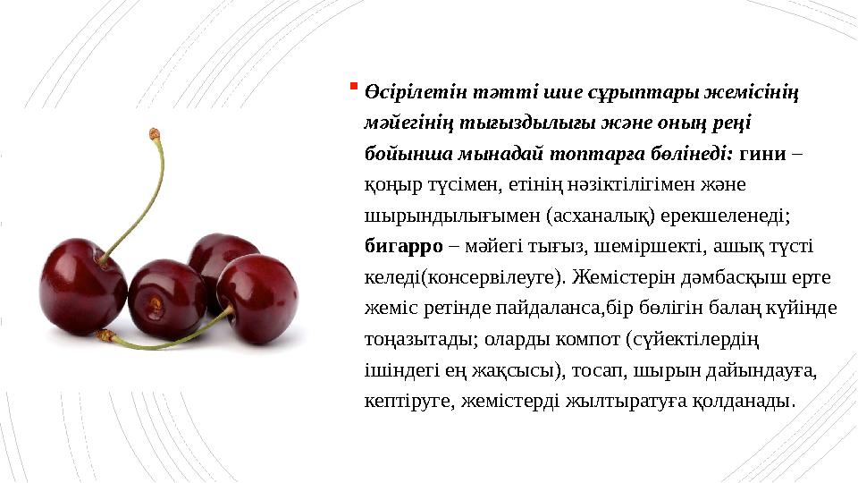 Өсірілетін тәтті шие сұрыптары жемісінің мәйегінің тығыздылығы және оның реңі бойынша мынадай топтарға б Өсірілетін тәтті шие сұрыптары жемісінің мәйегінің тығыздылығы және оның реңі бойынша мынадай топтарға б