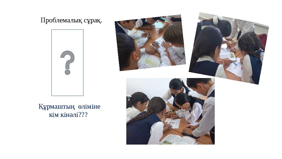 Проблемалық сұрақ. Құрмаштың өліміне кім кінәлі??? Проблемалық сұрақ. Құрмаштың өліміне кім кінәлі???