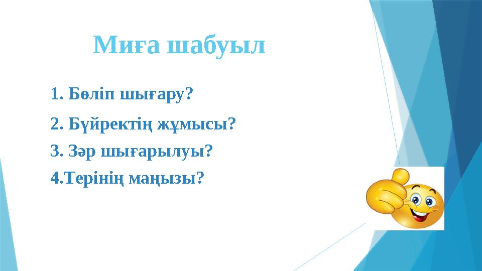 Миға шабуыл 1. Бөліп шығару? 2. Бүйректің жұмысы? 3. Зәр шығарылуы? 4.Терінің маңызы?