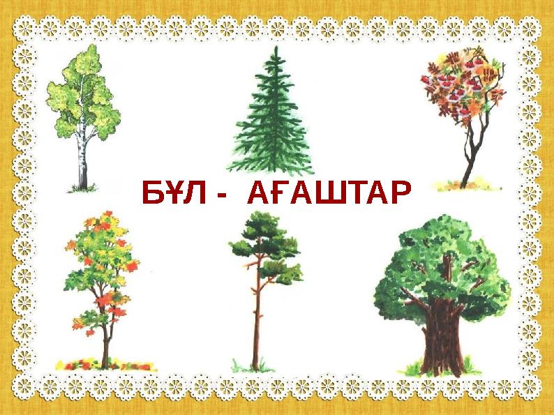 БҰЛ - АҒАШТАР БҰЛ - АҒАШТАР